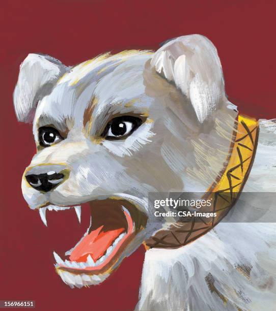 mean grey dog - yap stock illustrations