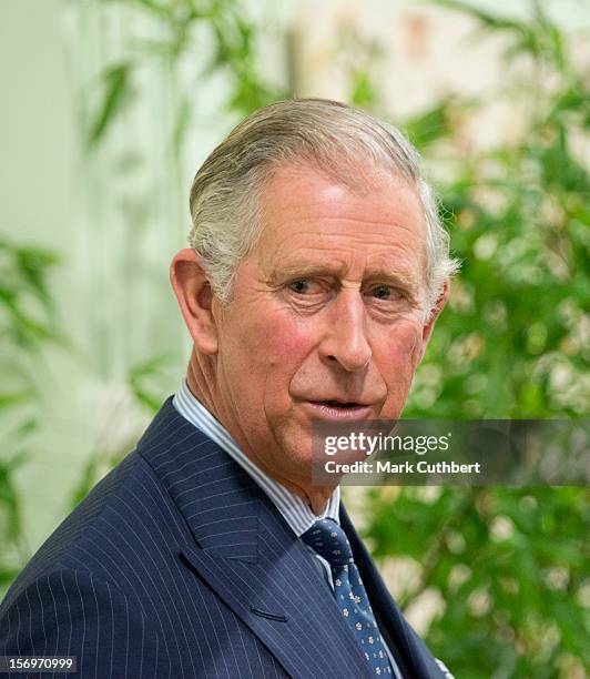 Prince Charles, Prince of Wales makes a speech during an official visit to Carshalton Boys Sports college with Jamie Oliver to see how the school has...