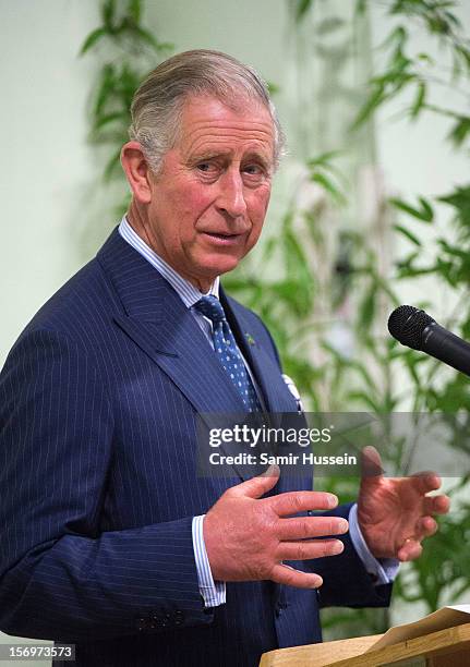 Prince Charles, Prince of Wales gives a speech during a visit Carshalton Boys Sports College on November 26, 2012 in Carshalton, England.