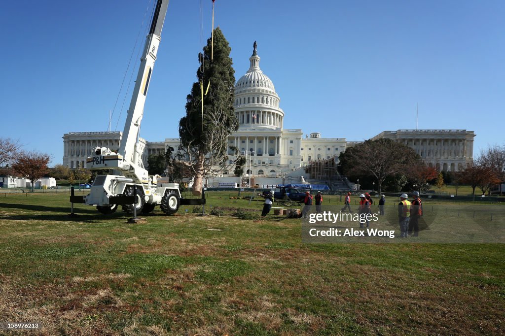 U.S. Capitol Christmas Tree Arrives In Washington