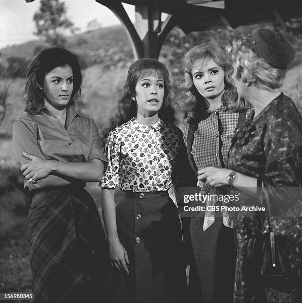 Episode "The President Who Came to Dinner" featuring from left: Pat Woodell ; Linda Kaye Henning ; Jeannine Riley and Bea Benaderet . Image dated...