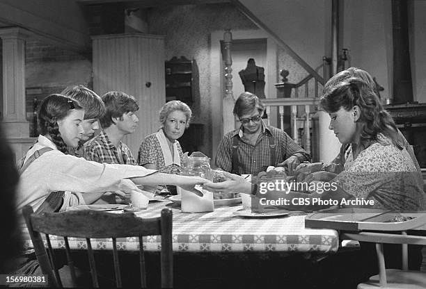 From left:Kami Cotler as Elizabeth Walton, David Harper as Jim-Bob Walton, Eric Scott as Ben Walton, Michael Learned as Olivia Walton, Ralph Waite as...