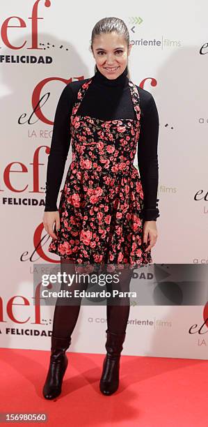 Yohana Cobo attends 'El chef, la receta de la felicidad' premiere photocall at Palafox cinema on November 26, 2012 in Madrid, Spain.