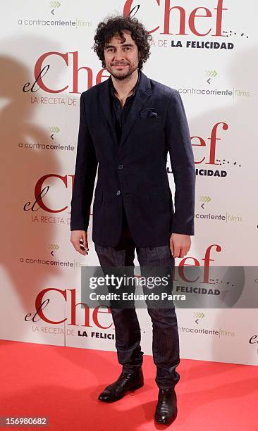 Jose Manuel Seda attends 'El chef, la receta de la felicidad' premiere photocall at Palafox cinema on November 26, 2012 in Madrid, Spain.