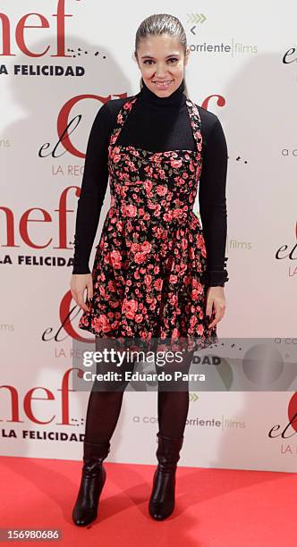 Yohana Cobo attends 'El chef, la receta de la felicidad' premiere photocall at Palafox cinema on November 26, 2012 in Madrid, Spain.