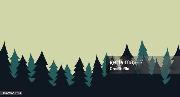 forest evergreen pine tree landscape background - woodland border stock illustrations