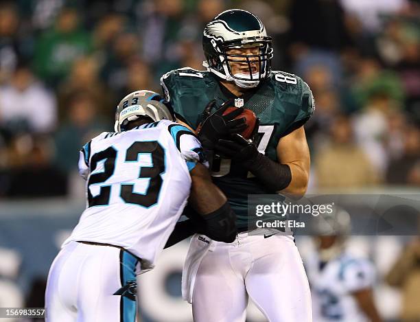 Brent Celek of the Philadelphia Eagles makes the catch as Sherrod Martin of the Carolina Panthers defends on November 26, 2012 at Lincoln Financial...