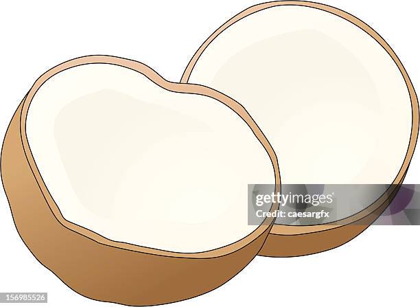 coconut - coconut milk isolated stock illustrations