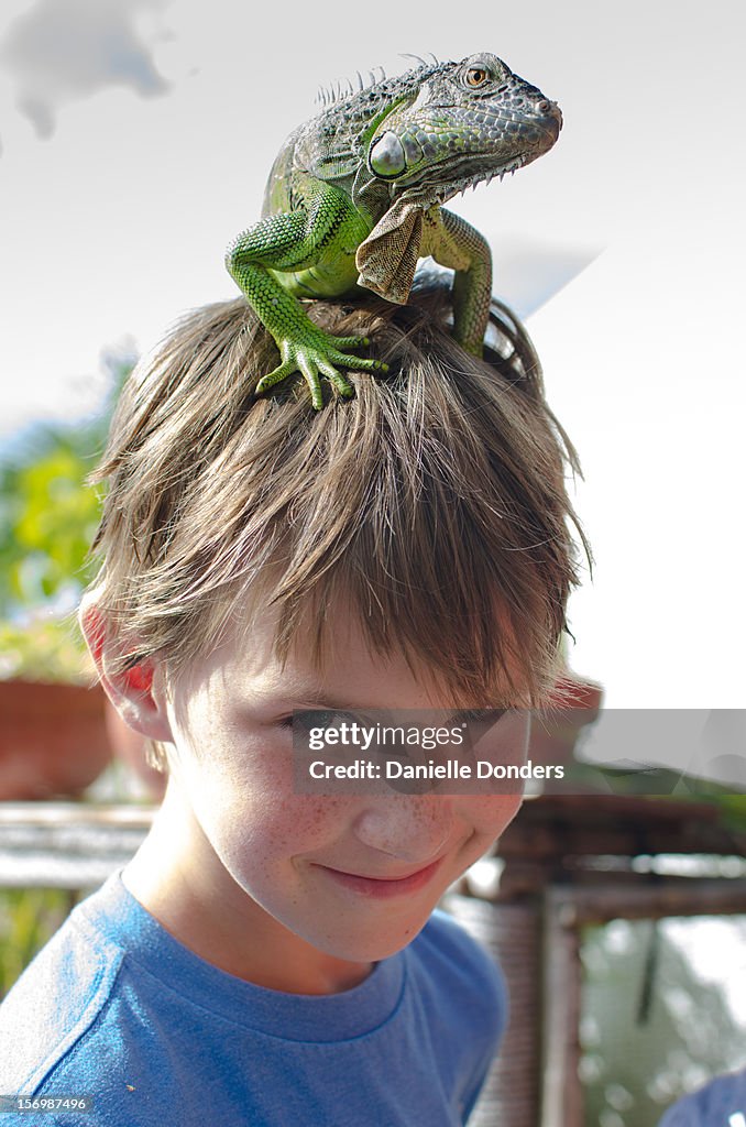 Boy with iguana on his head