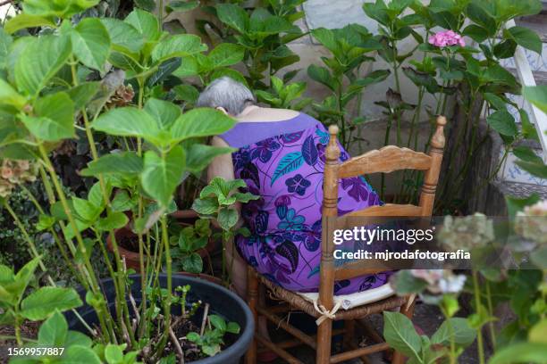 senior woman gathering weeds and garden waste - mjrodafotografia stock pictures, royalty-free photos & images