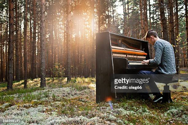 man plays the piano - musician stock pictures, royalty-free photos & images