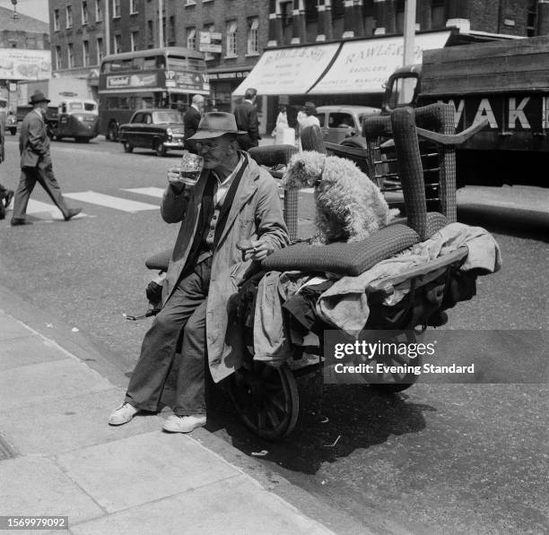 Albert Mole, a Rag and Bone Man, sits on his cart drinking a pint of beer with his dog, King's Cross, London, July 2nd 1959.