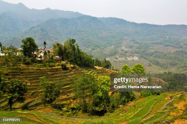 steps of sikkim - hema narayanan fotografías e imágenes de stock