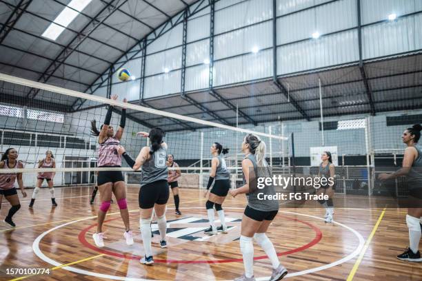 female volleyball players playing a volleyball match on the sports court - candid volleyball stock pictures, royalty-free photos & images