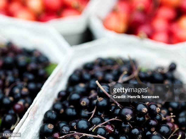 berries - casis fotografías e imágenes de stock