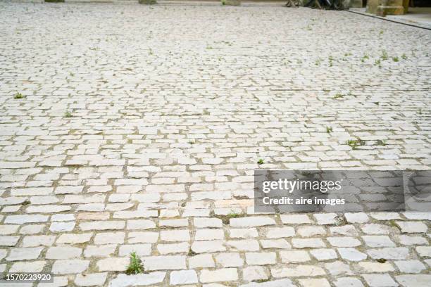 quiet scene where you can appreciate a mosaic brick floor, old from which protrudes the grass, in the daytime. - cobblestone floor stock pictures, royalty-free photos & images