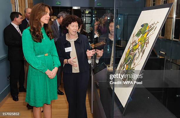 Catherine, Duchess of Cambridge views a plate from Audubon's Birds of America alongside Special Collections Manager Judith Magee as she attends the...