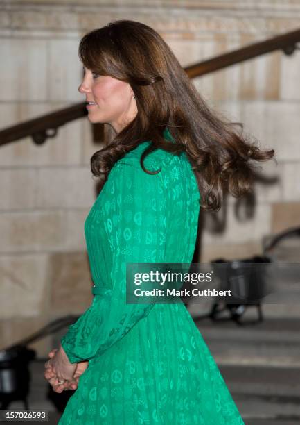 Catherine, Duchess of Cambridge attends the official opening of The Natural History Museums's Treasures Gallery at Natural History Museum on November...