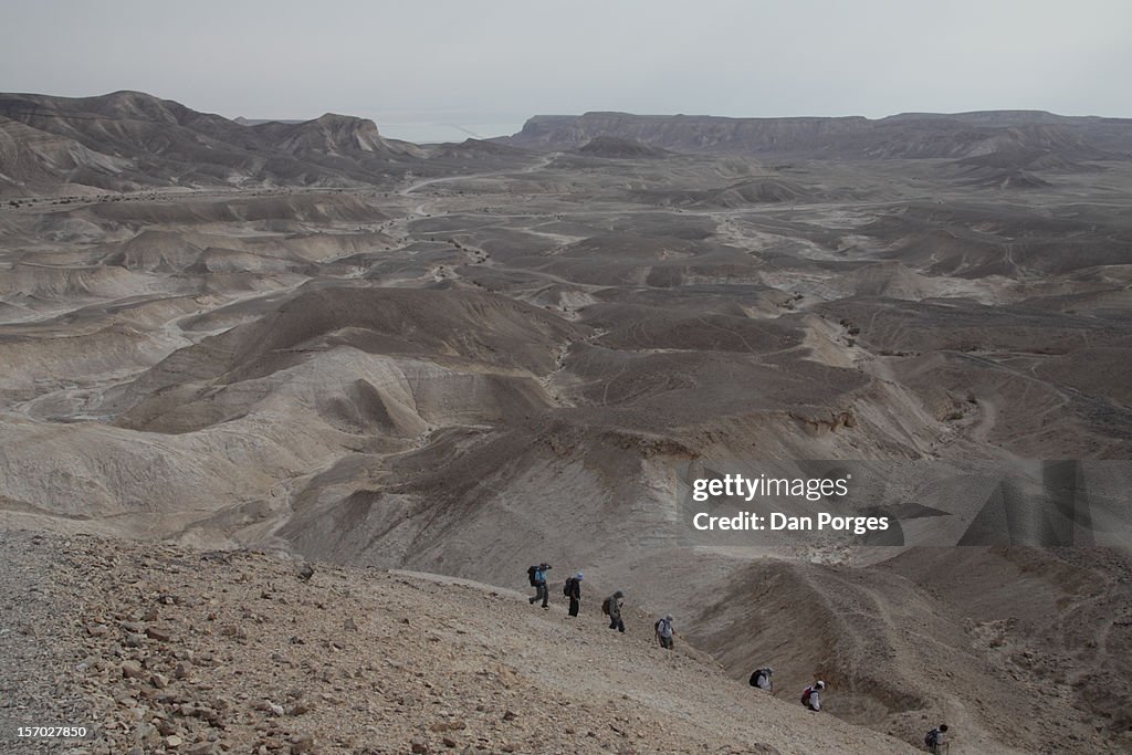 ARID LANDSCAPE