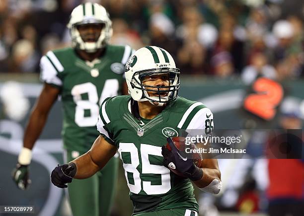 Chaz Schilens of the New York Jets reacts after his catch in the endzone against the New England Patriots was ruled incomplete at MetLife Stadium on...