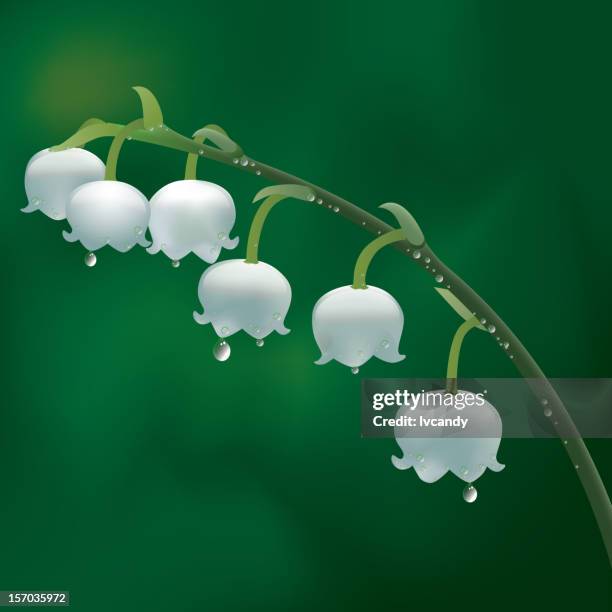 432点のスズランイラスト素材 Getty Images 432点のスズランイラスト素材 Getty Images