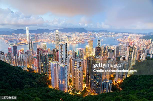 hong kong harbor at night - andreaskoeberl stock-fotos und bilder