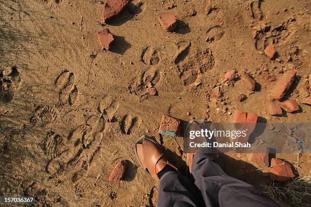 traditional sandals along with animal footmarks - dera ismail khan stock pictures, royalty-free photos & images