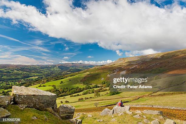 woman & dog, table mountain, crickhowell, wales - crickhowell stockfoto's en -beelden