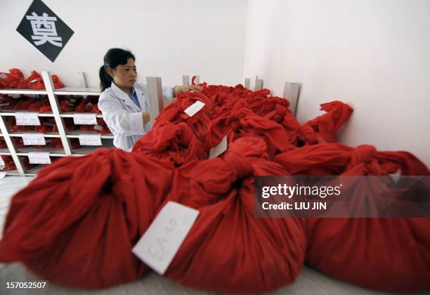 Woman arranges cremated remains of earthquake victims at a funeral parlor in Mianyang city, in China's southwestern province of Sichuan on May 28,...