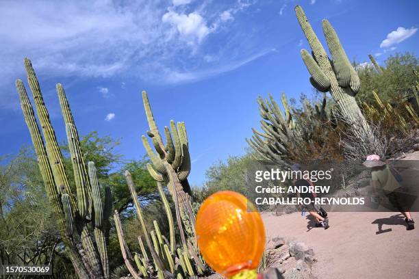 Kids walk past Caution tape at a construction site near saguaro cactus at the Phoenix botanical gardens in Phoenix Arizona on August 1, 2023. Extreme...