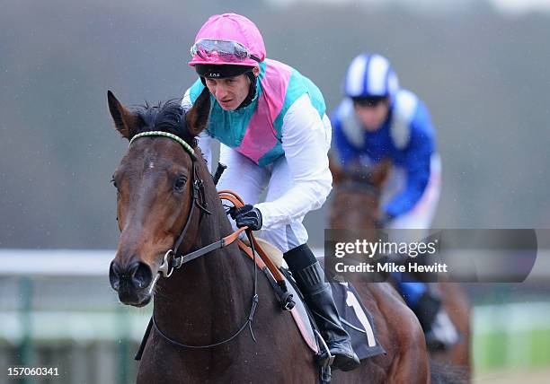 Eddie Ahern and Demonic make their way to the start of the British Stallion Studs Supporting British Racing E.B.F. Maiden Stakes race at Lingfield...