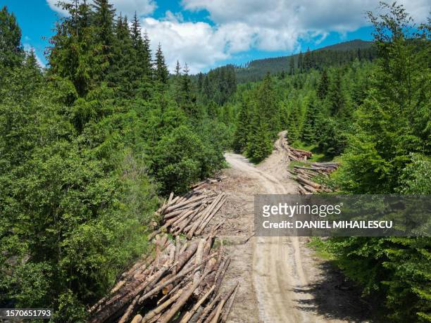 An aerial photo shows logged wood on a road in the Tarhaus Valley, near the Ghimes-Faget village in the central Transylvania region of Romania, on...