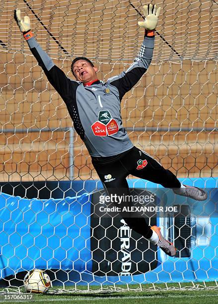 South Africa's goalkeeper Moeneeb Josephs takes part in a training session on June 19, 2010 at Sturrock Park in Johannesburg during the 2010 World...