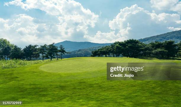 lawn in the park - golfplatz green stock-fotos und bilder
