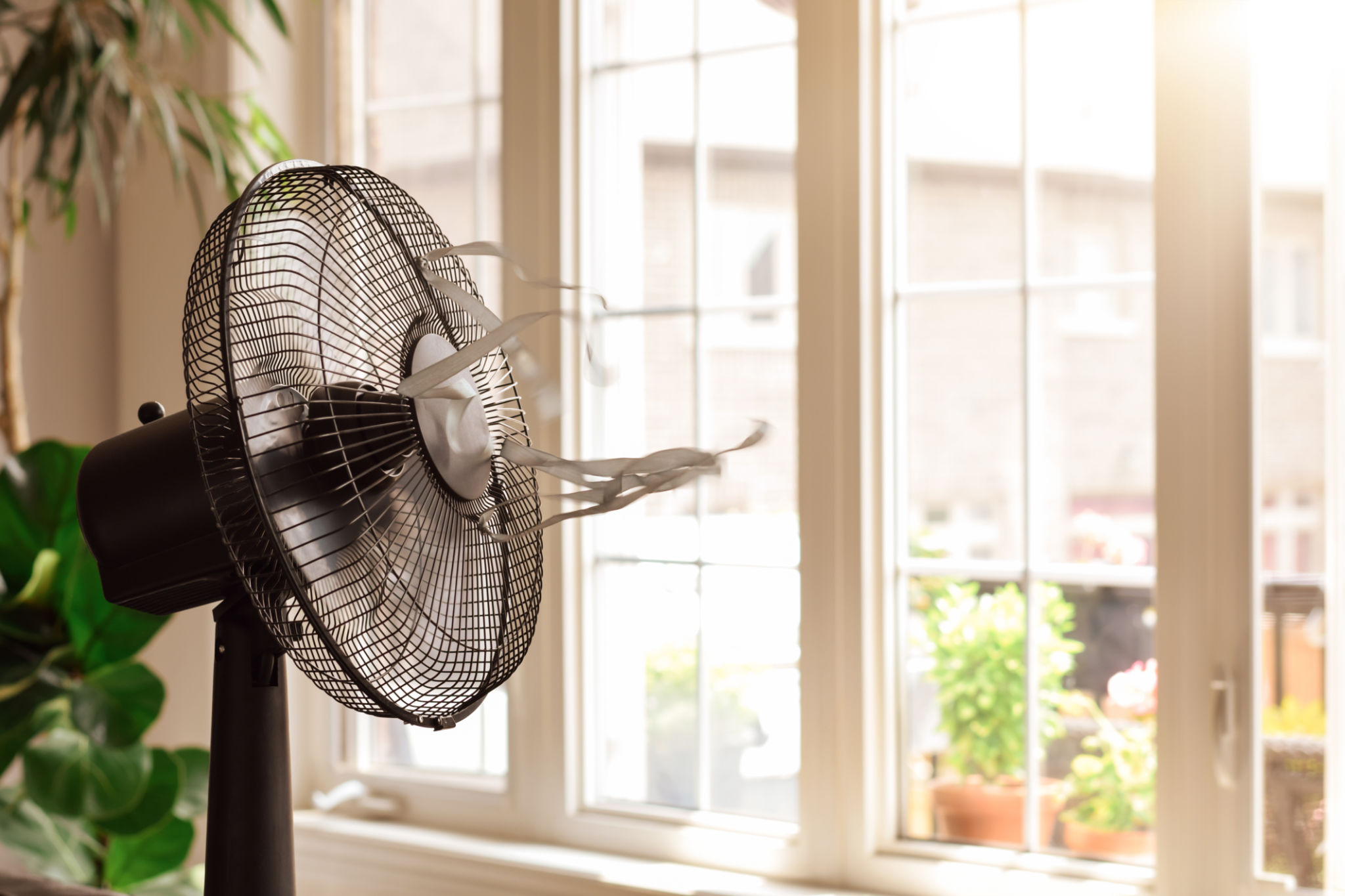 summer window cooling