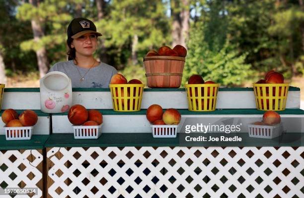 Emaly Gutierrez waits for customers as she sells peaches on July 25, 2023 in Forsyth, Georgia. Gutierrez is one of just a few people selling peaches...