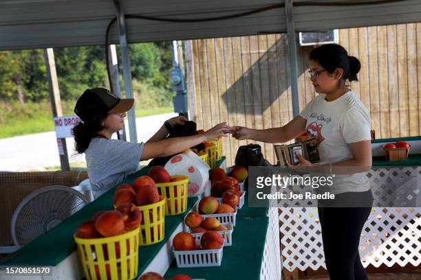 Emaly Gutierrez sells peaches to a customer on July 25, 2023 in Forsyth, Georgia. Gutierrez is one of just a few people selling peaches from a...