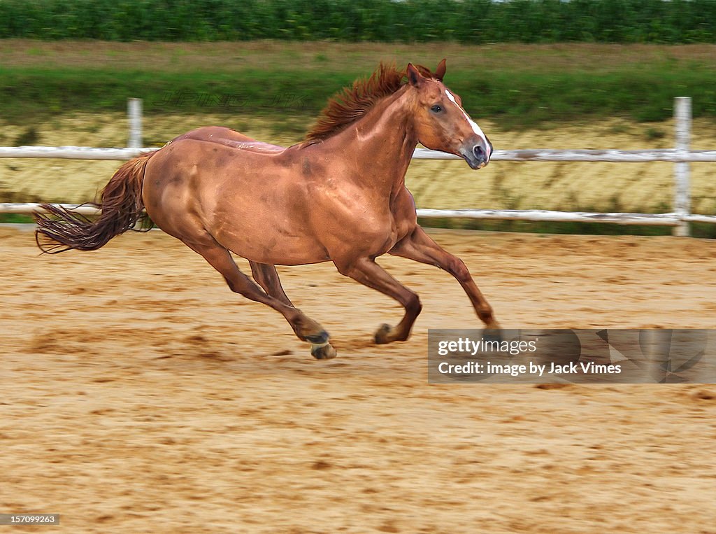 Racing in the wind