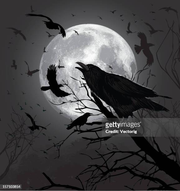 ilustrações de stock, clip art, desenhos animados e ícones de crows - horror