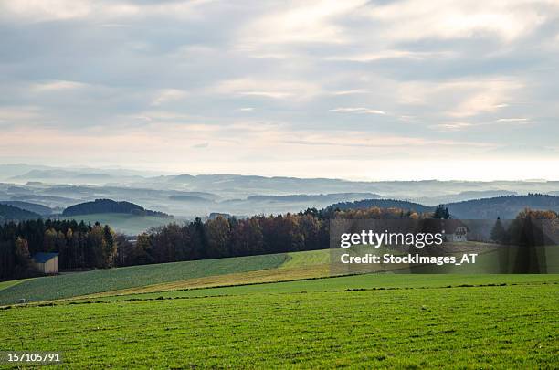 ländliche landschaft in österreich - linz stock-fotos und bilder