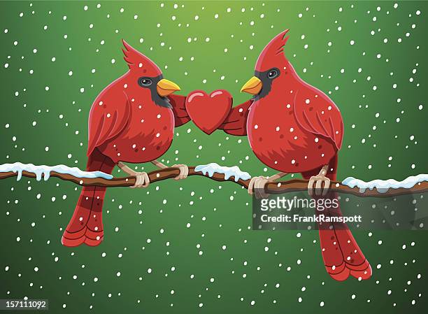 red cardinal vogel paar herzen christmas-englische redewendung - cardinal stock-grafiken, -clipart, -cartoons und -symbole