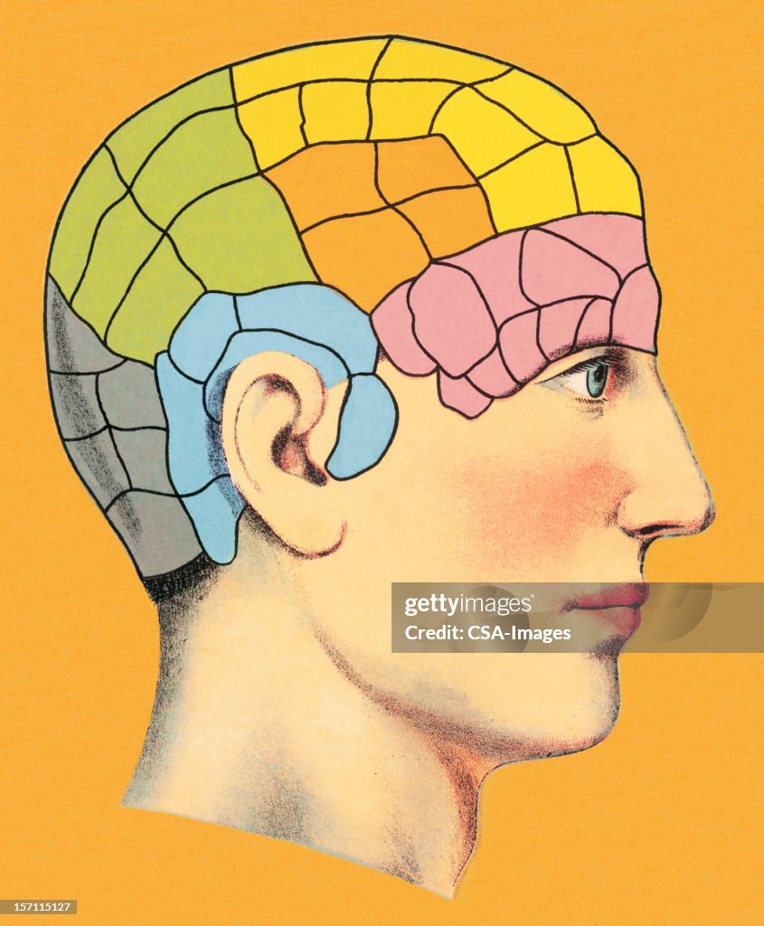 Brain