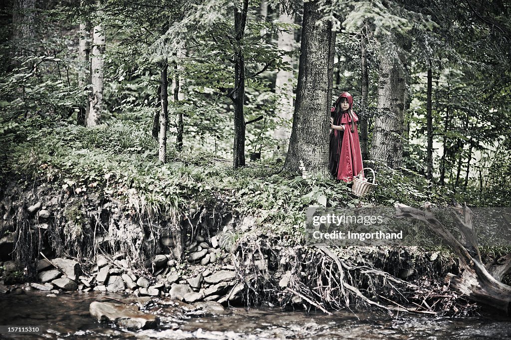 Le petit chaperon rouge dans la Forêt sombre