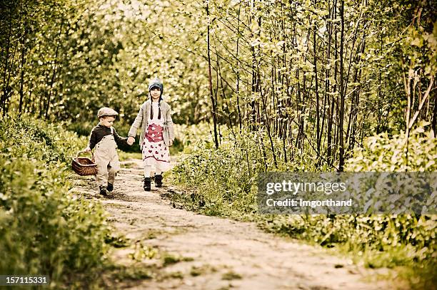 hansel and gretel - hansel stock pictures, royalty-free photos & images