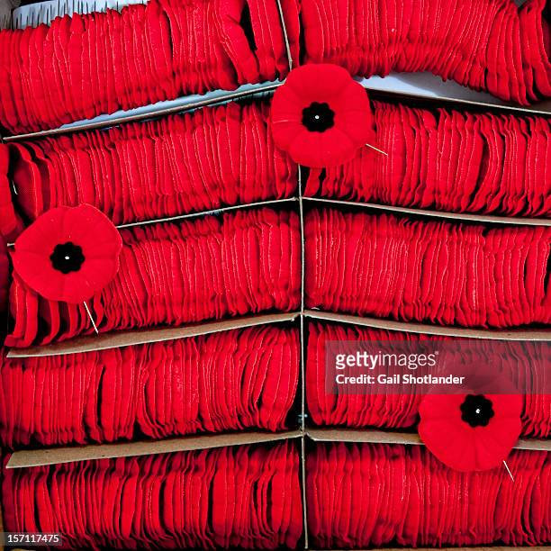 box of poppies - remembrance day - remembrance day poppy stock-fotos und bilder