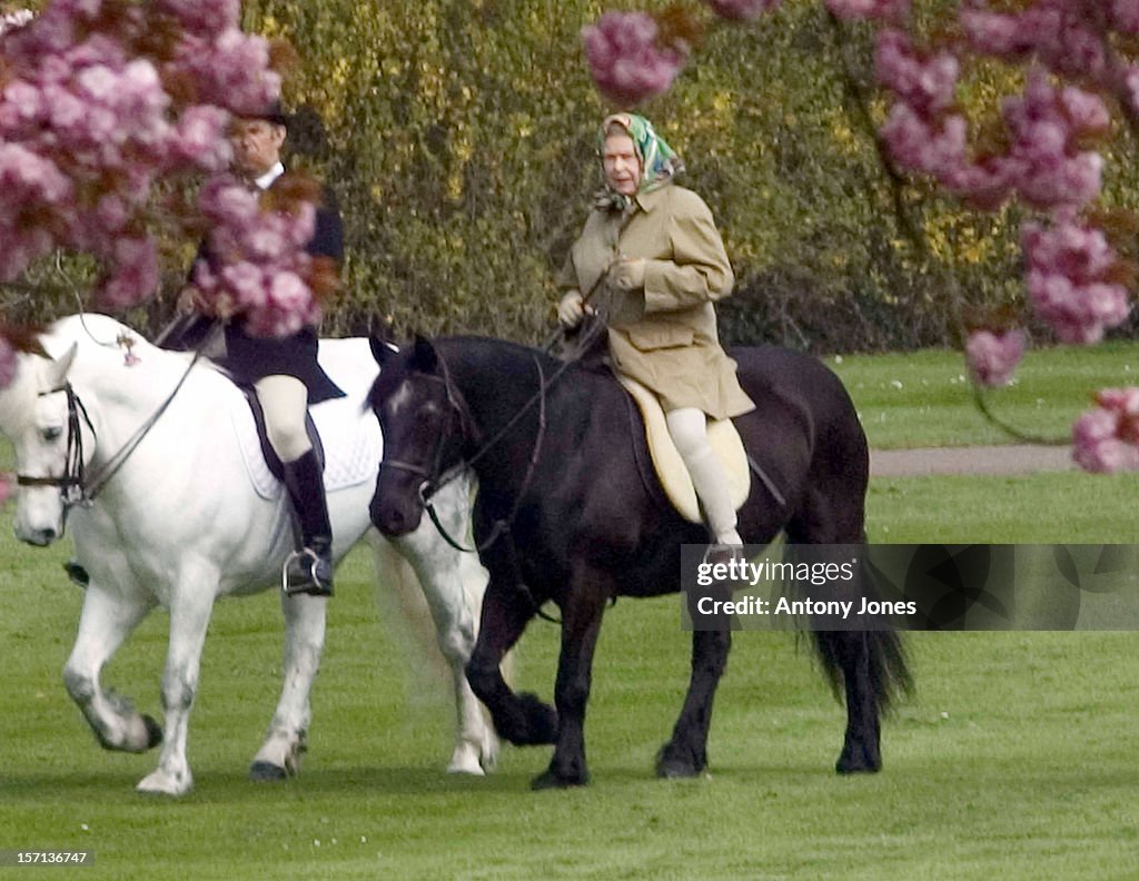 The Queen Horseriding In Windsor On Her 79Th Birthday