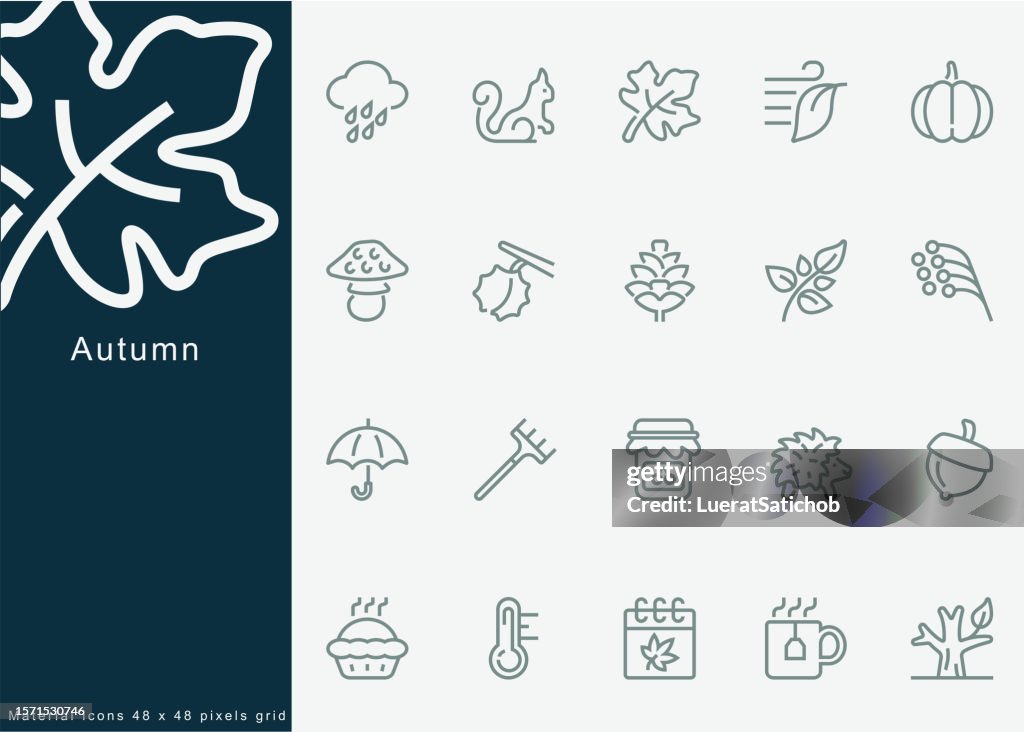 Autumn, Falling leaves season themed symbols collection,Thanksgiving, Leaf, Falling leaves, acorns, pinecones, old twigs, Squirrel, mushrooms, Pumpkin, pie, tea cup.For Mobile and Web.Line Icons