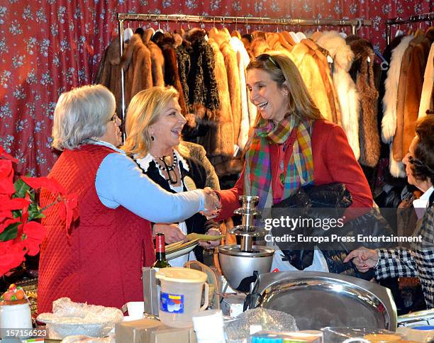 Princess Elena attends Rastrillo 'Nuevo Futuro' at Pipa paviliono on November 26, 2012 in Madrid, Spain.