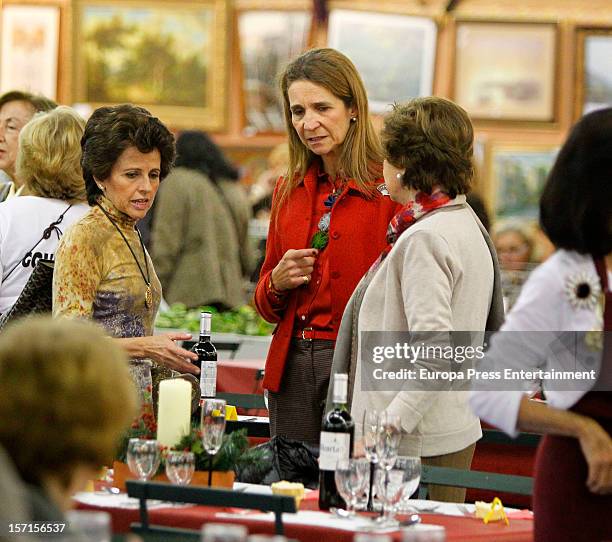 Princess Elena of Spain attends Rastrillo 'Nuevo Futuro' at Pipa paviliono on November 26, 2012 in Madrid, Spain.