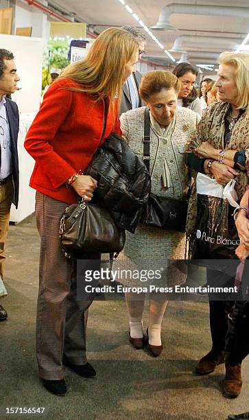 Princess Elena and her aunt Princess Margarita attend Rastrillo 'Nuevo Futuro' at Pipa paviliono on November 26, 2012 in Madrid, Spain.